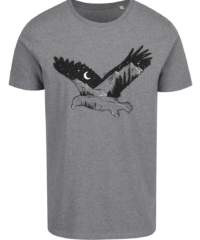Šedé pánské tričko ZOOT Originál Eagle